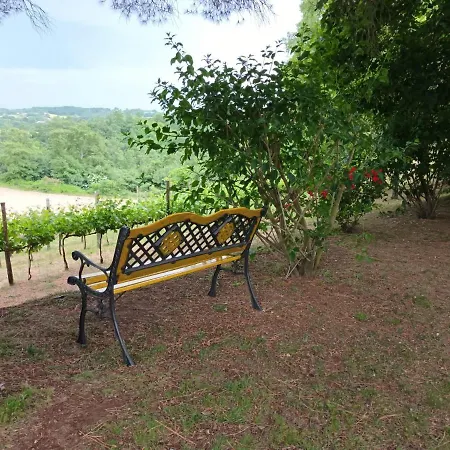 Il Melo Al Montesole Orvieto