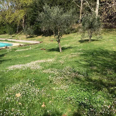 Il Melo Al Montesole Casa vacanze *